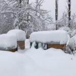 Fluglöcher dick mit Schnee zugeschneit